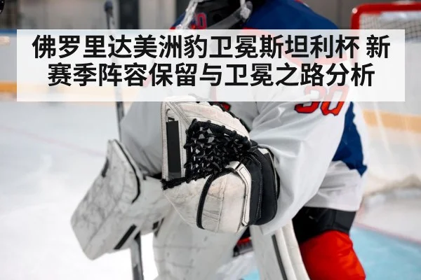 ice hockey goalie save